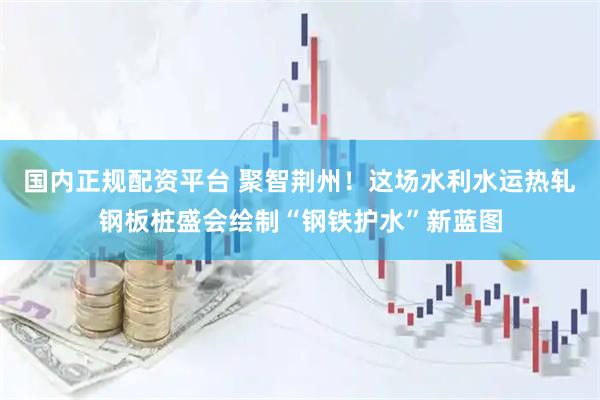 国内正规配资平台 聚智荆州！这场水利水运热轧钢板桩盛会绘制“钢铁护水”新蓝图