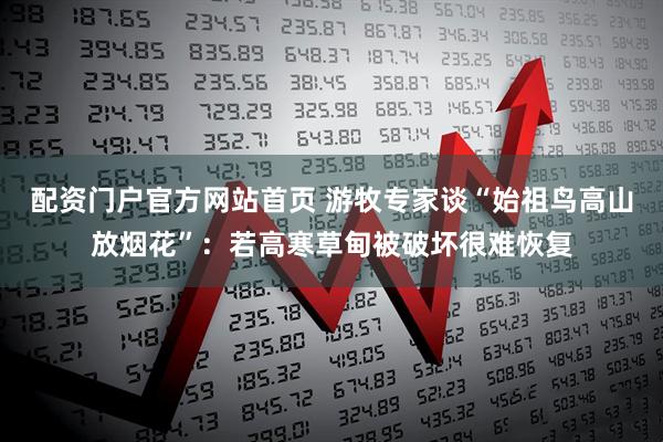 配资门户官方网站首页 游牧专家谈“始祖鸟高山放烟花”：若高寒草甸被破坏很难恢复