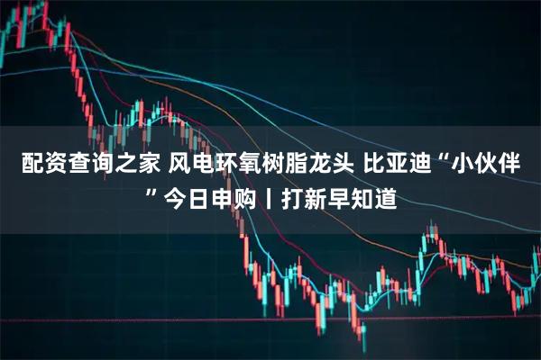 配资查询之家 风电环氧树脂龙头 比亚迪“小伙伴”今日申购丨打新早知道