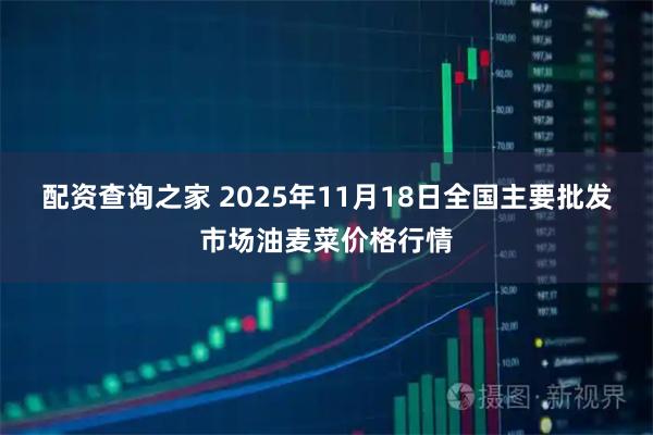 配资查询之家 2025年11月18日全国主要批发市场油麦菜价格行情