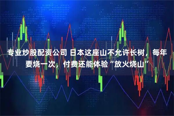 专业炒股配资公司 日本这座山不允许长树，每年要烧一次，付费还能体验“放火烧山”