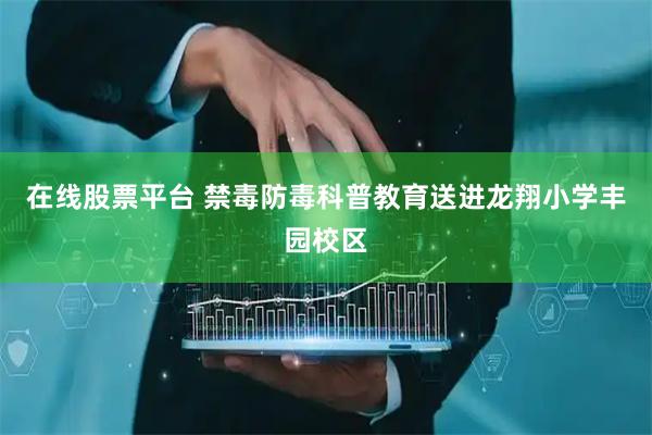 在线股票平台 禁毒防毒科普教育送进龙翔小学丰园校区